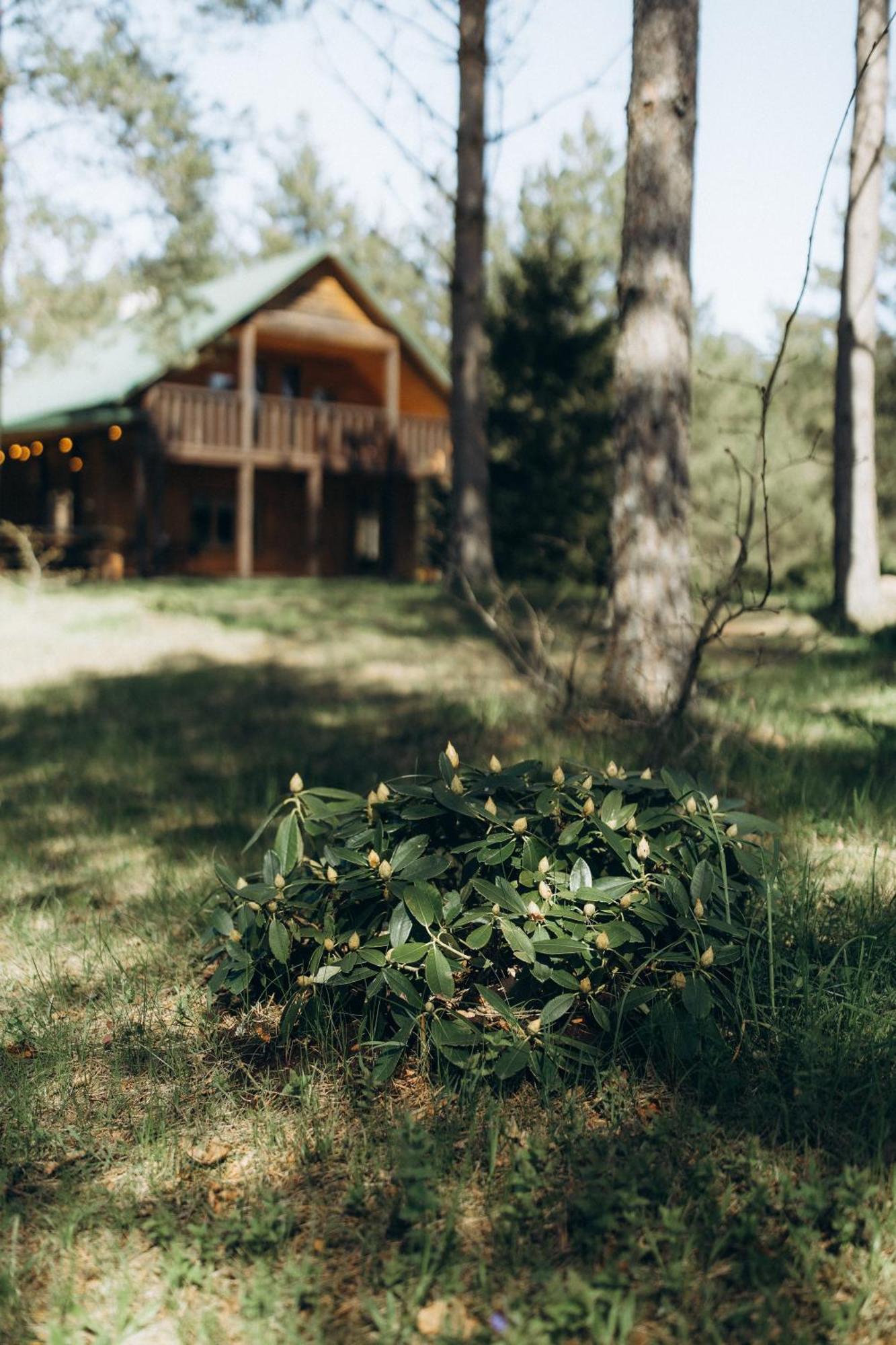 Holiday Home Atmatas Sabile Екстериор снимка